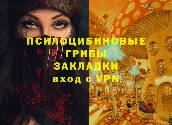 ALPHA PVP Верея