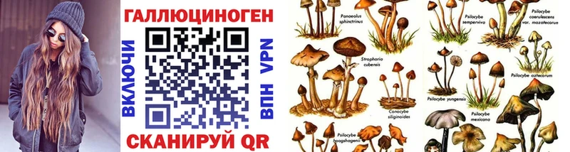 blacksprut вход  Орехово-Зуево  Галлюциногенные грибы Psilocybine cubensis 
